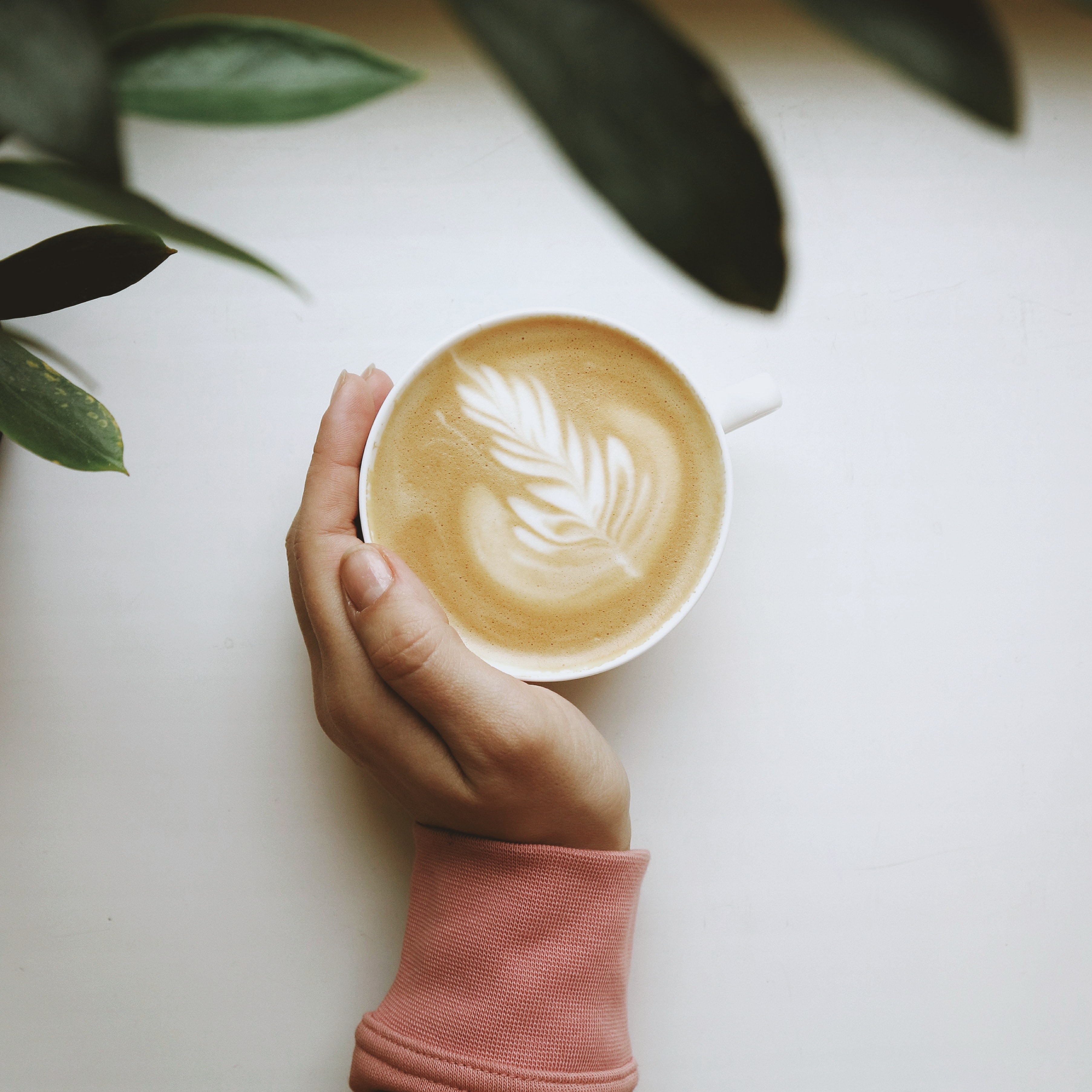 a hand on a cup of cappuccino